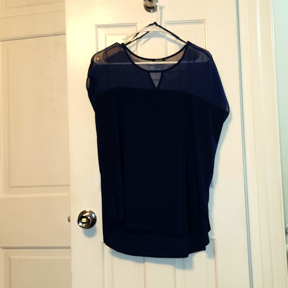 Blue blouse sheer top
